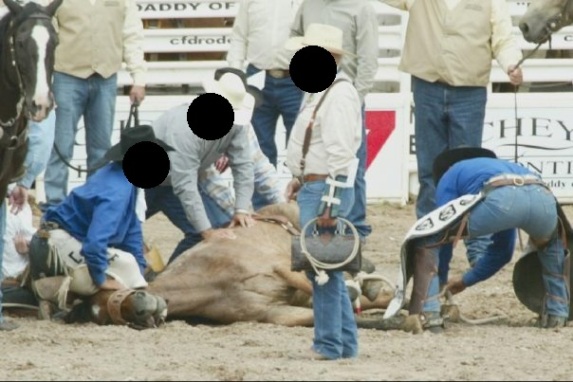 Cavalo morre em prova de montaria (Foto: SHARK)