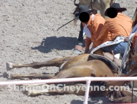 Cavalo morre em prova de montaria. Foto: SHARK