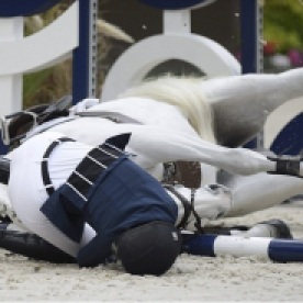 Égua sofreu lesões graves e teve que ser sacrificada.